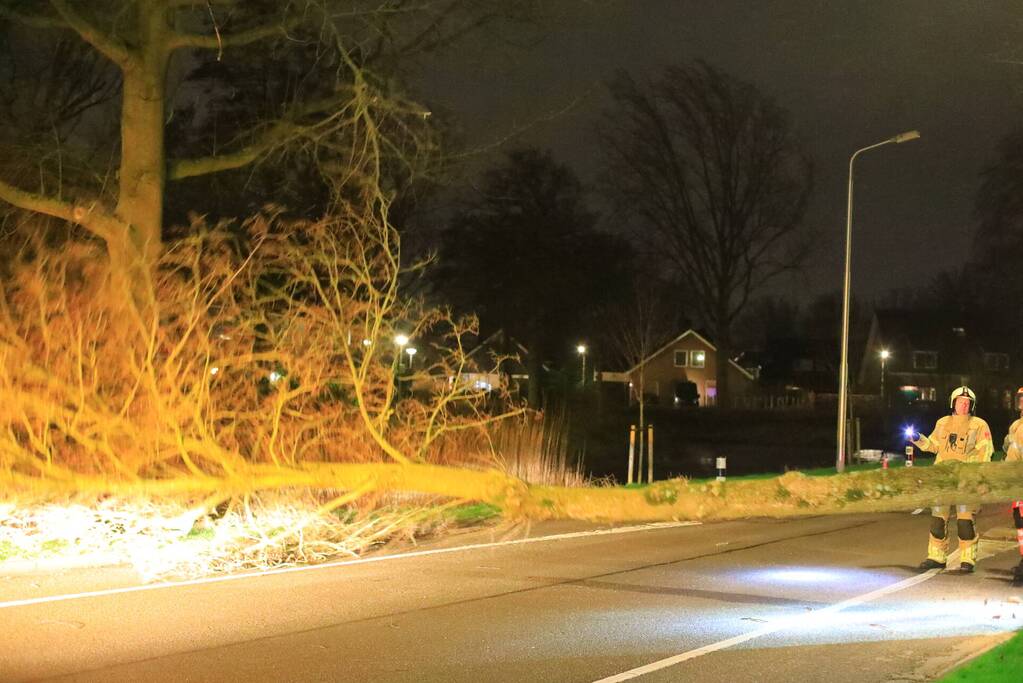 Weg afgesloten door omgevallen bomen