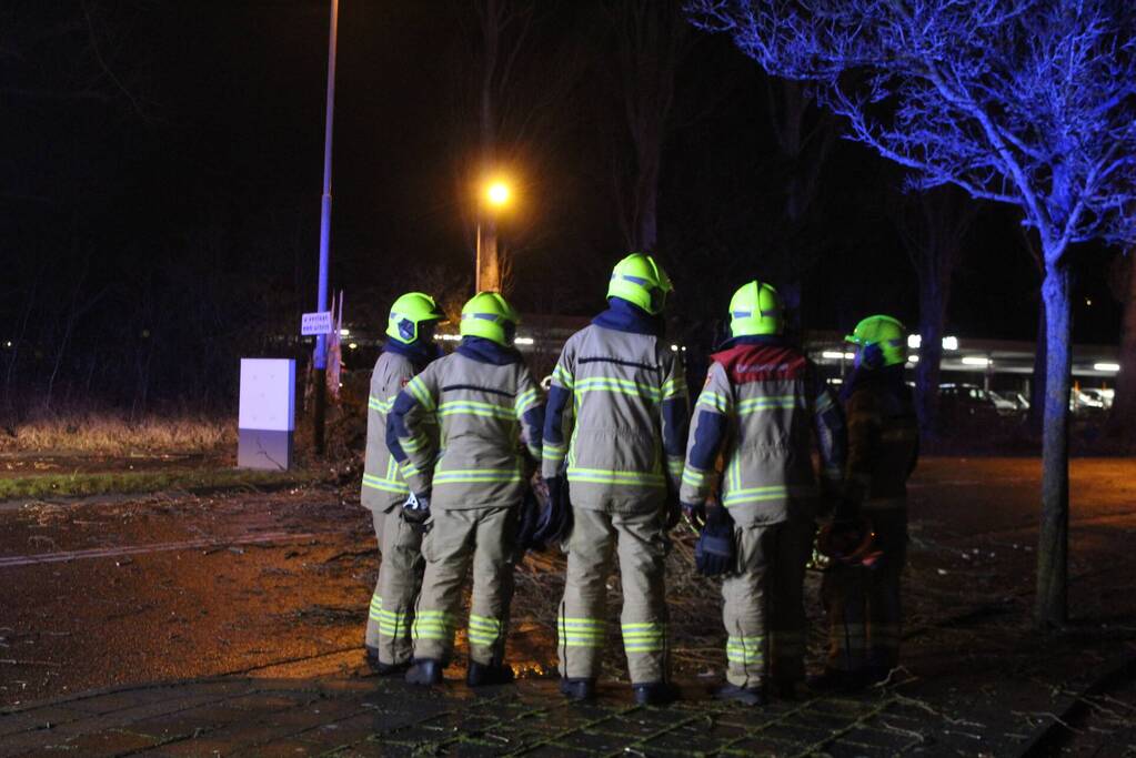 Boom valt om op terrein bij tankstation