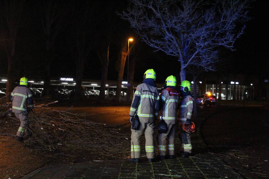 Boom valt om op terrein bij tankstation