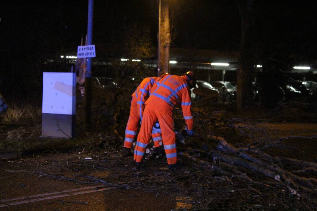 Boom valt om op terrein bij tankstation