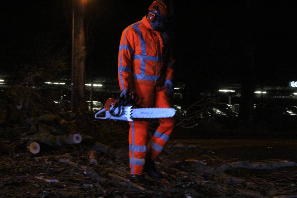 Boom valt om op terrein bij tankstation