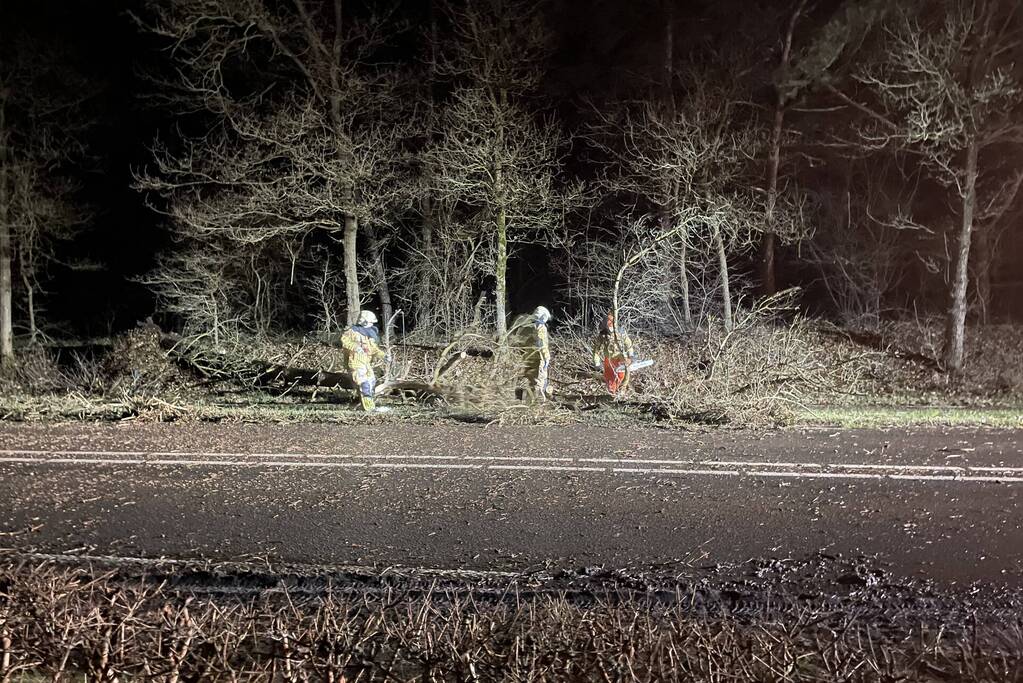Brandweer verwijdert boom op weg