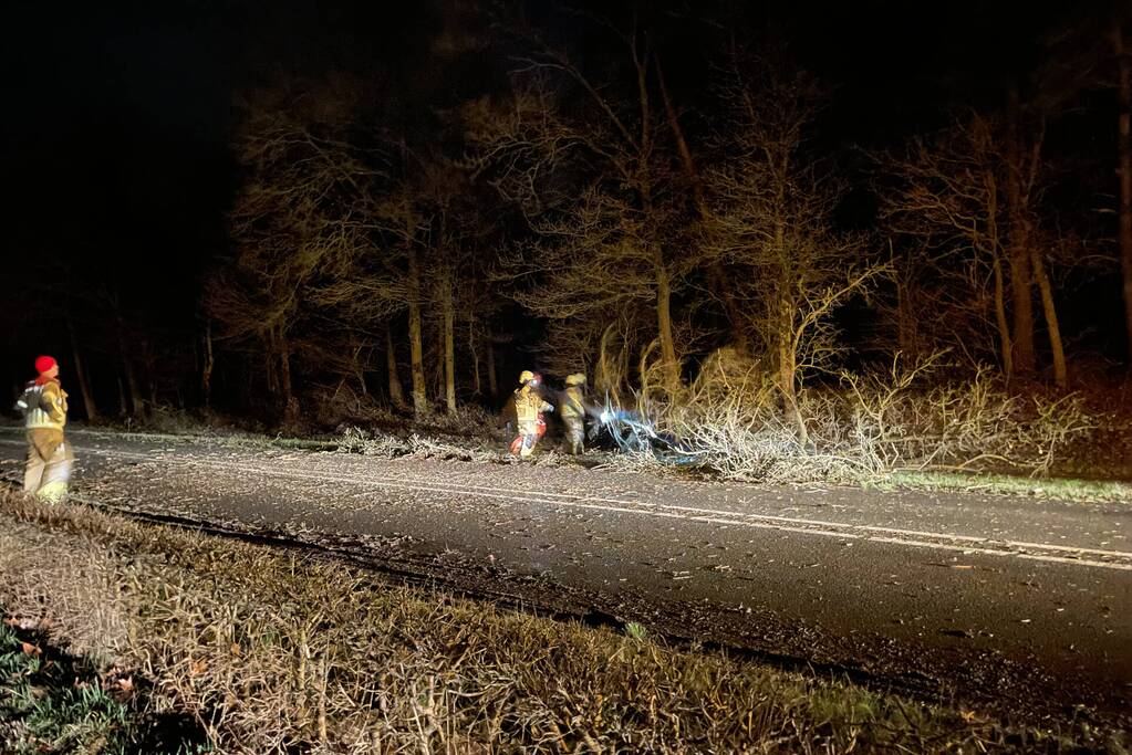 Brandweer verwijdert boom op weg