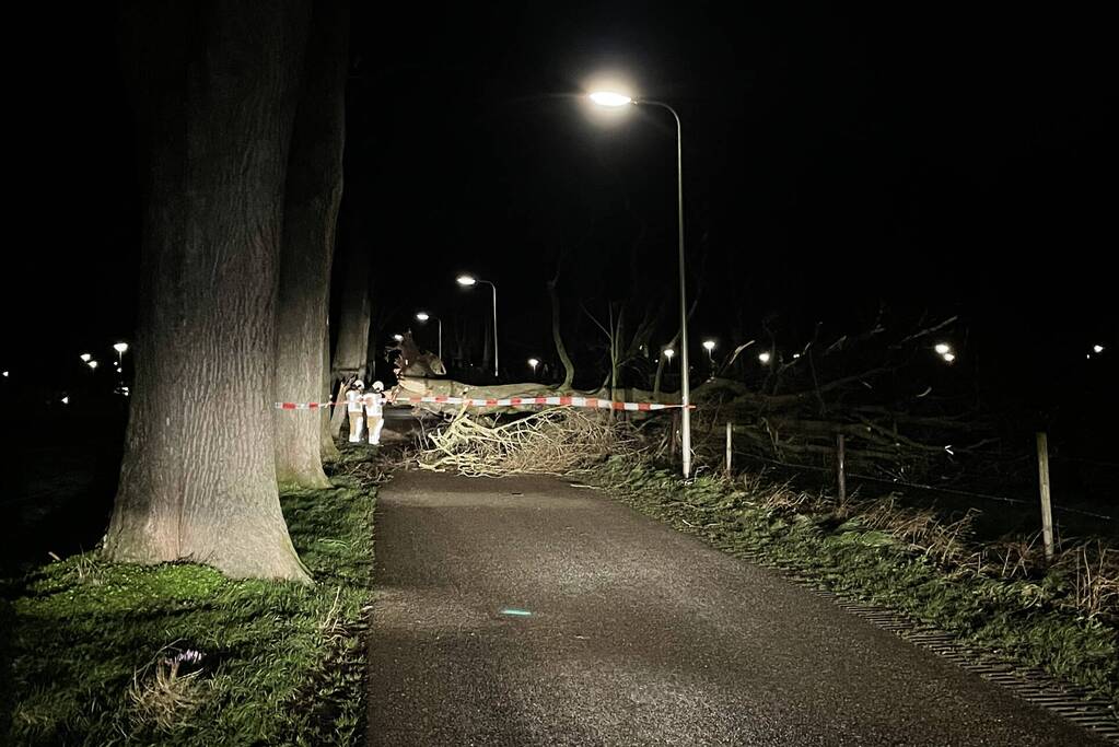 Brandweer verwijdert omgevallen boom