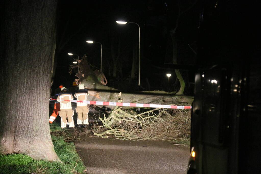 Brandweer verwijdert omgevallen boom