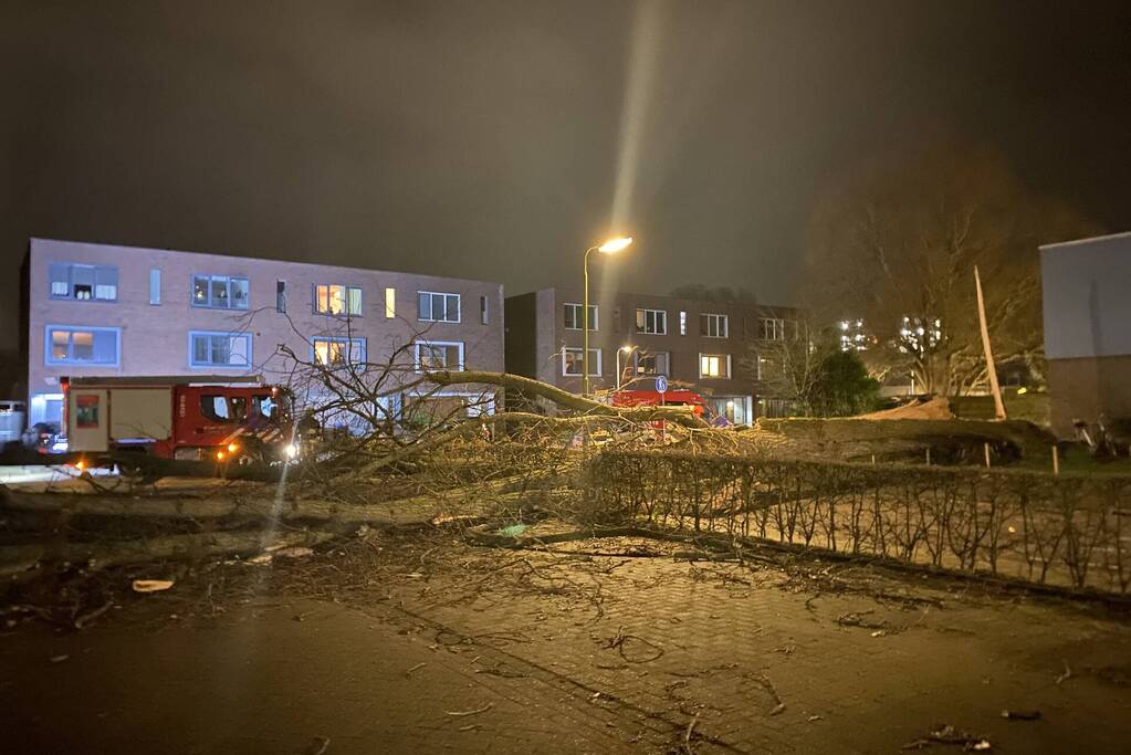 Grote boom omgewaaid in woonwijk