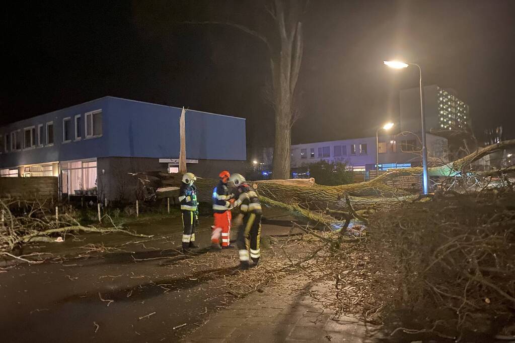 Grote boom omgewaaid in woonwijk