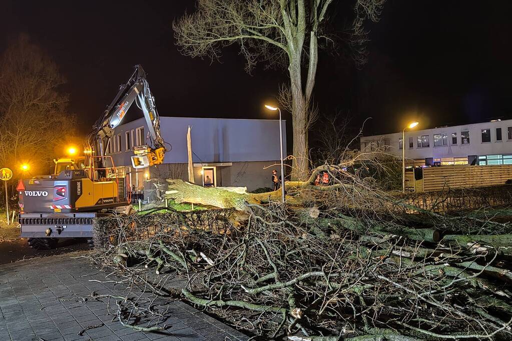 Grote boom omgewaaid in woonwijk