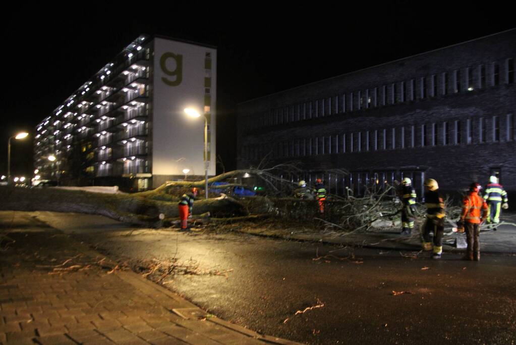 Grote boom omgewaaid in woonwijk
