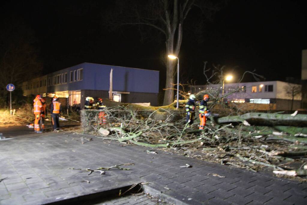 Grote boom omgewaaid in woonwijk