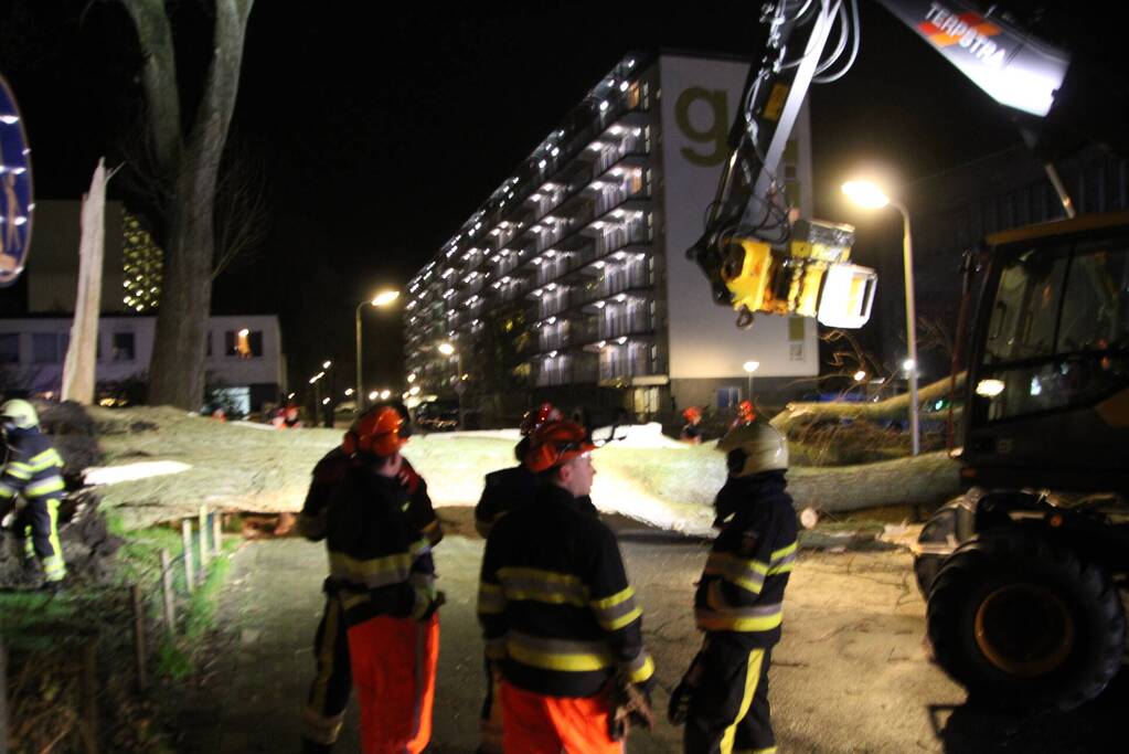 Grote boom omgewaaid in woonwijk