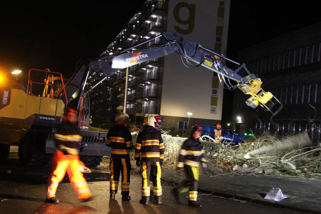 Grote boom omgewaaid in woonwijk