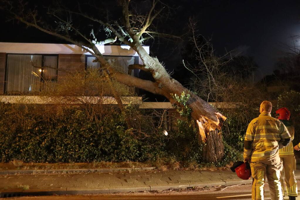 Grote boom valt op woonhuis