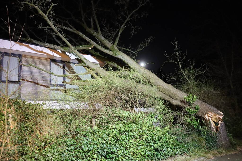 Grote boom valt op woonhuis
