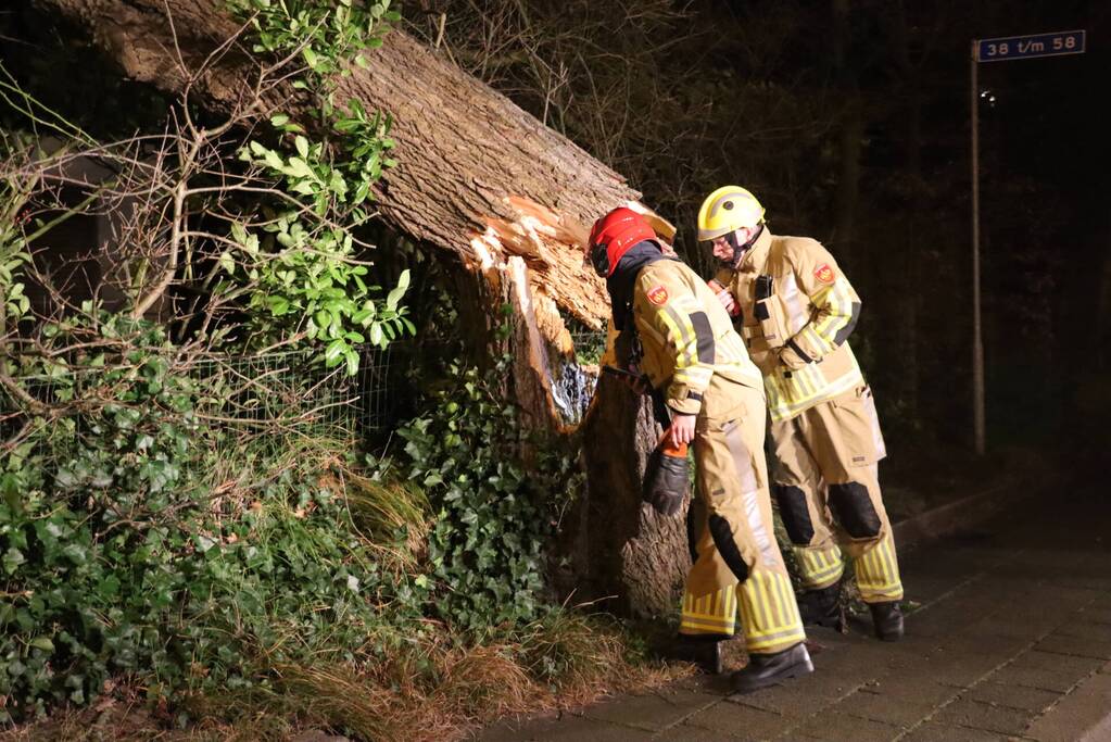 Grote boom valt op woonhuis