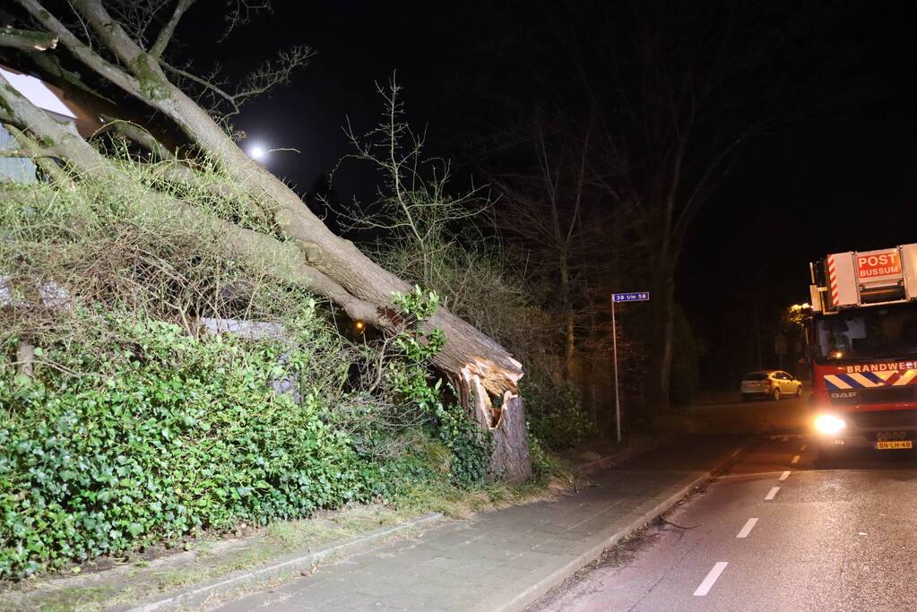 Grote boom valt op woonhuis