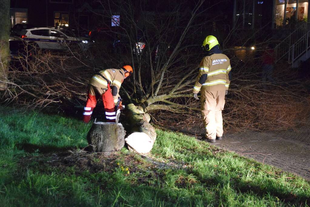 Brandweer zaagt boom omver