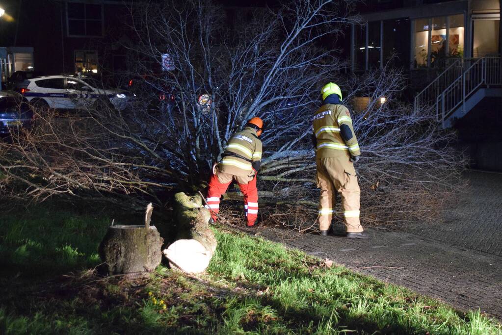 Brandweer zaagt boom omver