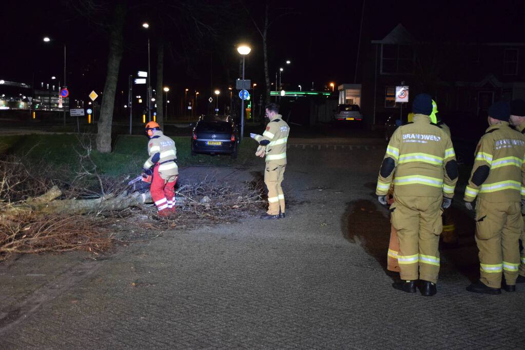 Brandweer zaagt boom omver