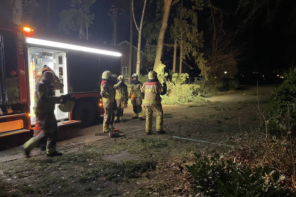 Brandweer verwijdert boom over de weg