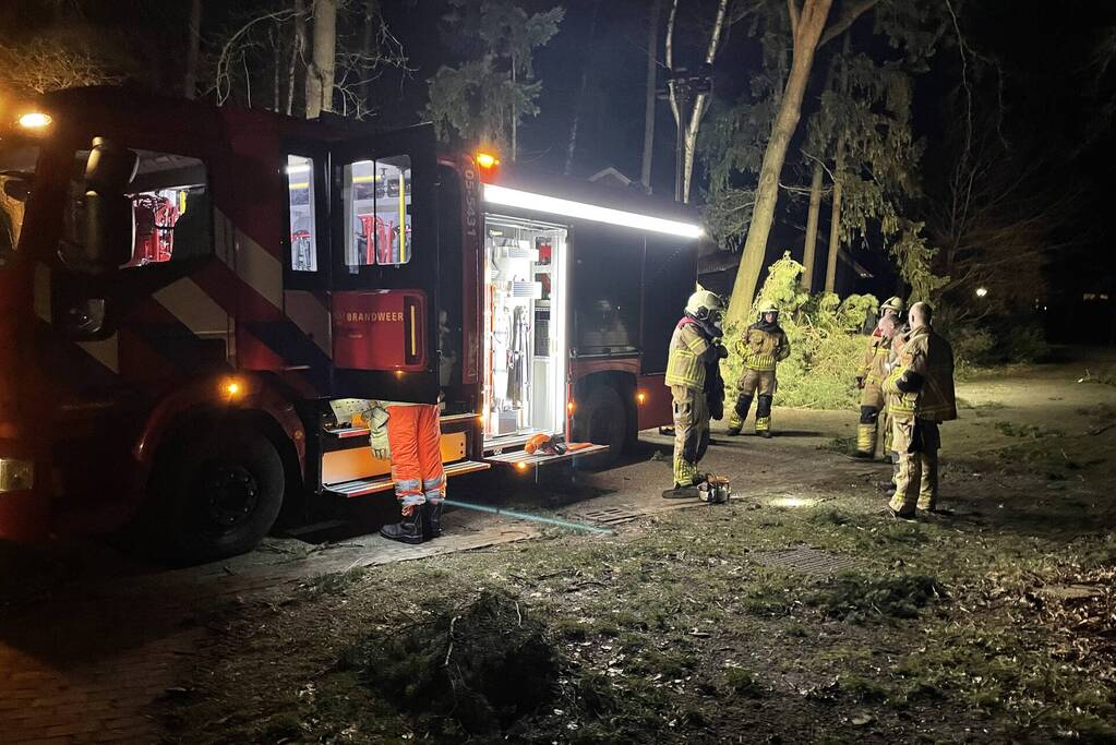 Brandweer verwijdert boom over de weg