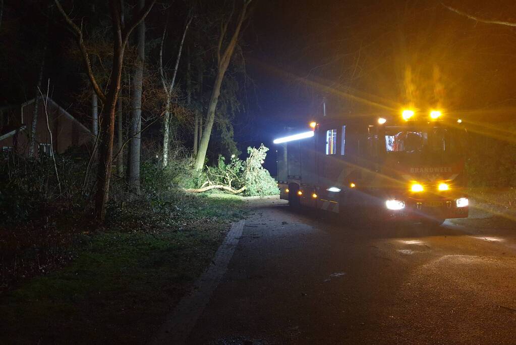 Brandweer verwijdert boom over de weg