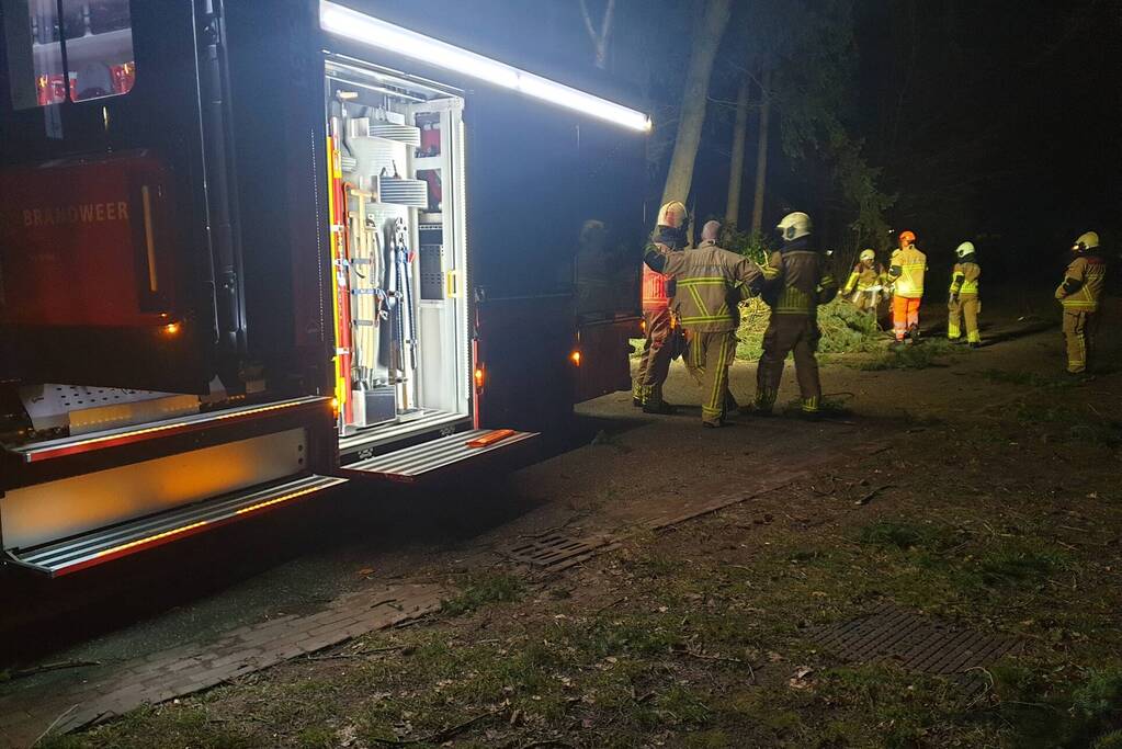 Brandweer verwijdert boom over de weg