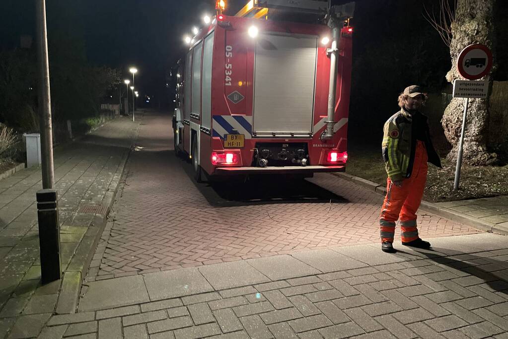 Brandweer stelt boom veilig
