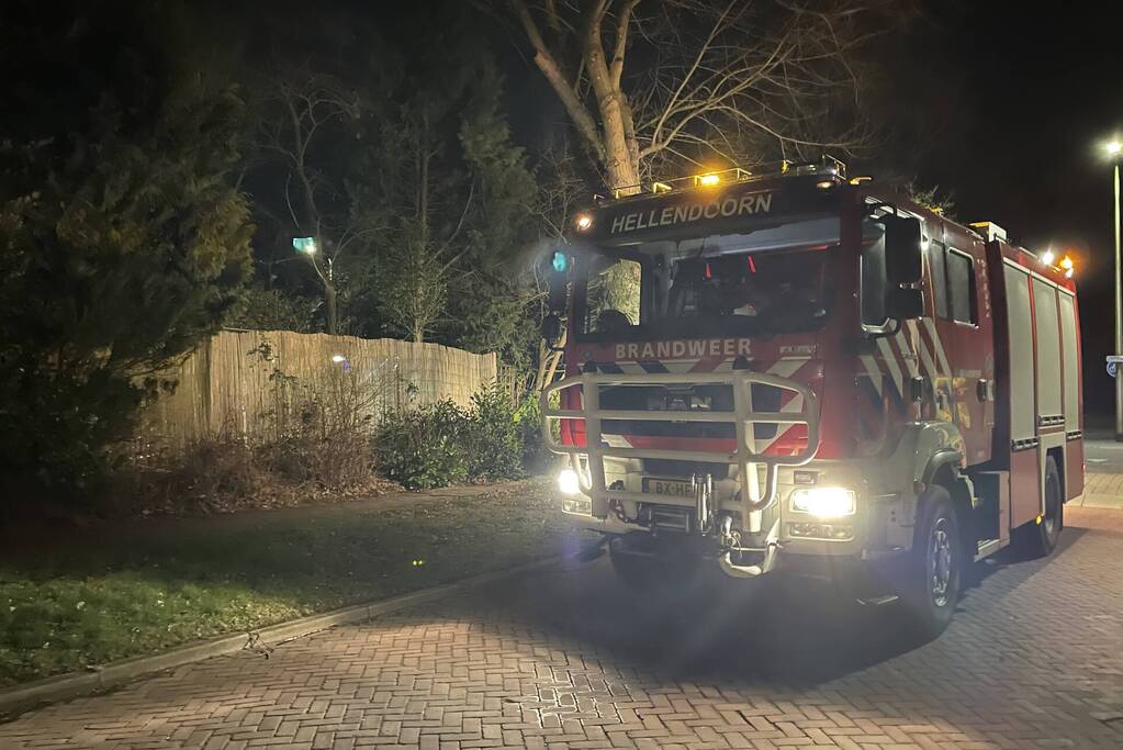 Brandweer stelt boom veilig