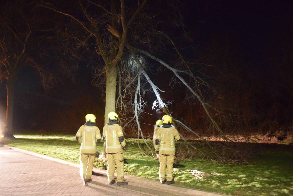 Grote tak dreigt op weg te vallen