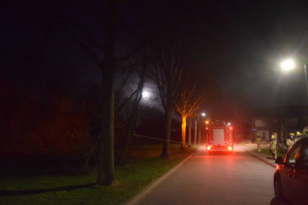 Grote tak dreigt op weg te vallen