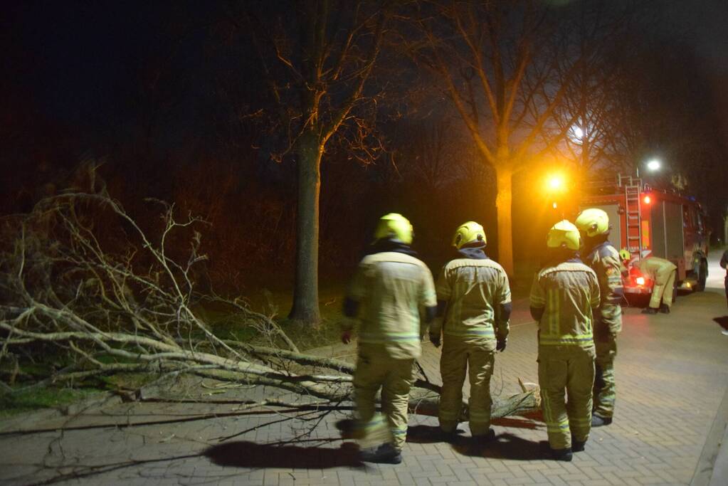 Grote tak dreigt op weg te vallen