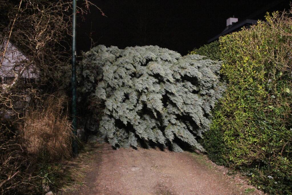 Omgevallen boom blokkeert fietspad