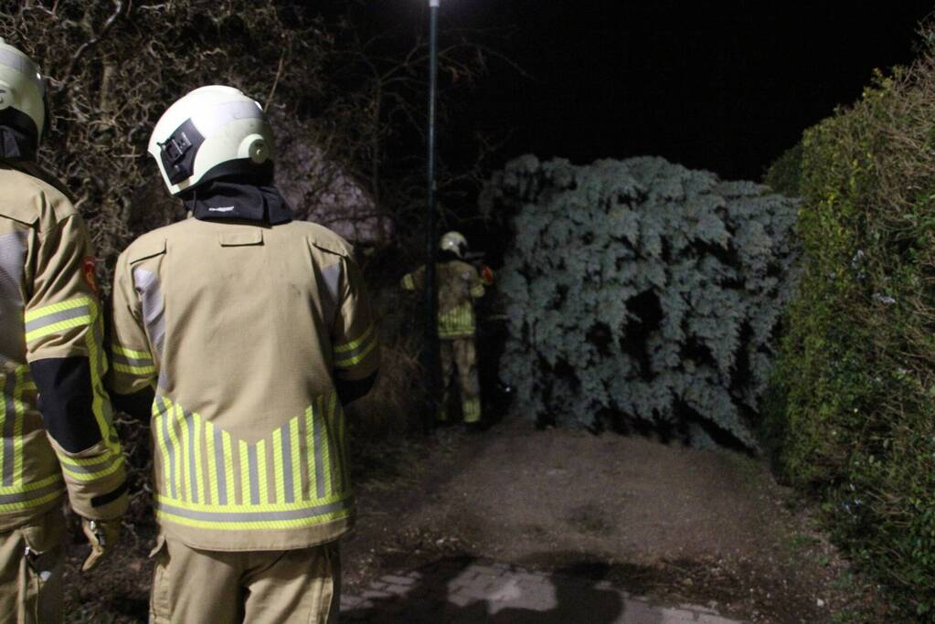 Omgevallen boom blokkeert fietspad