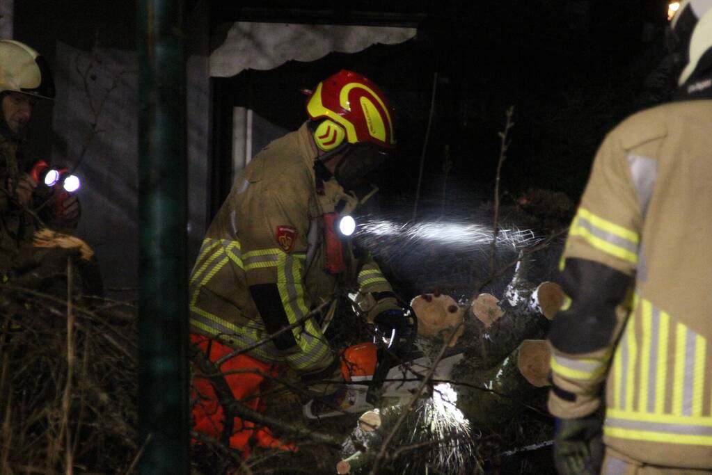 Omgevallen boom blokkeert fietspad