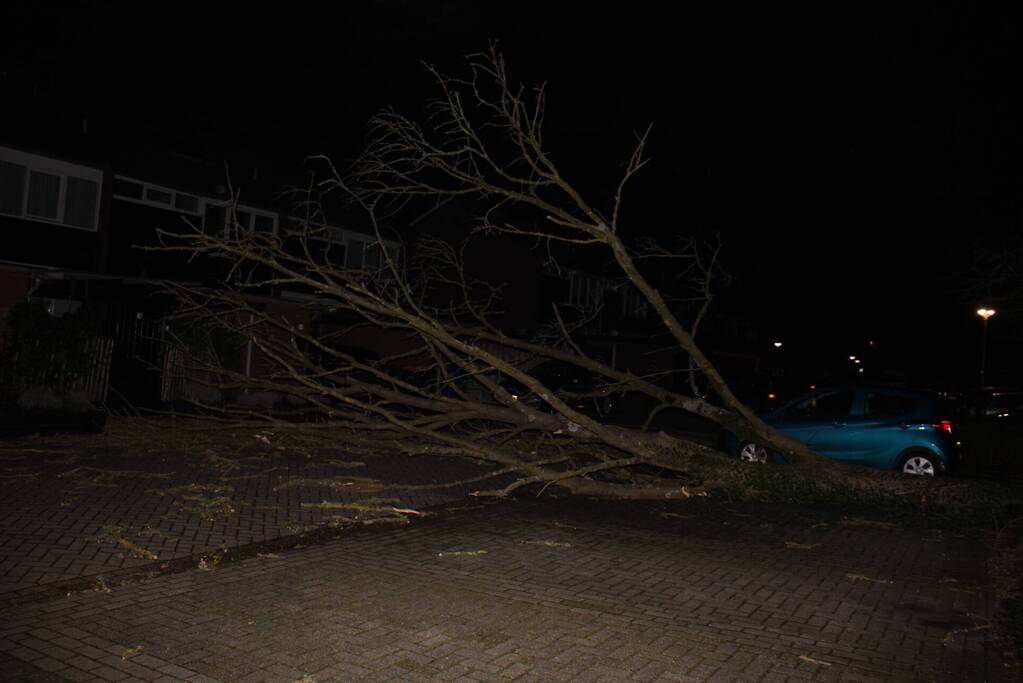 Omgevallen boom in stukken gezaagd door brandweer