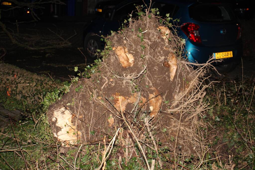 Omgevallen boom in stukken gezaagd door brandweer