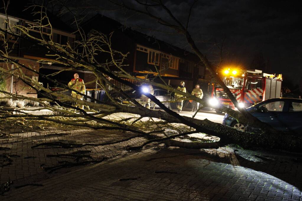 Omgevallen boom in stukken gezaagd door brandweer