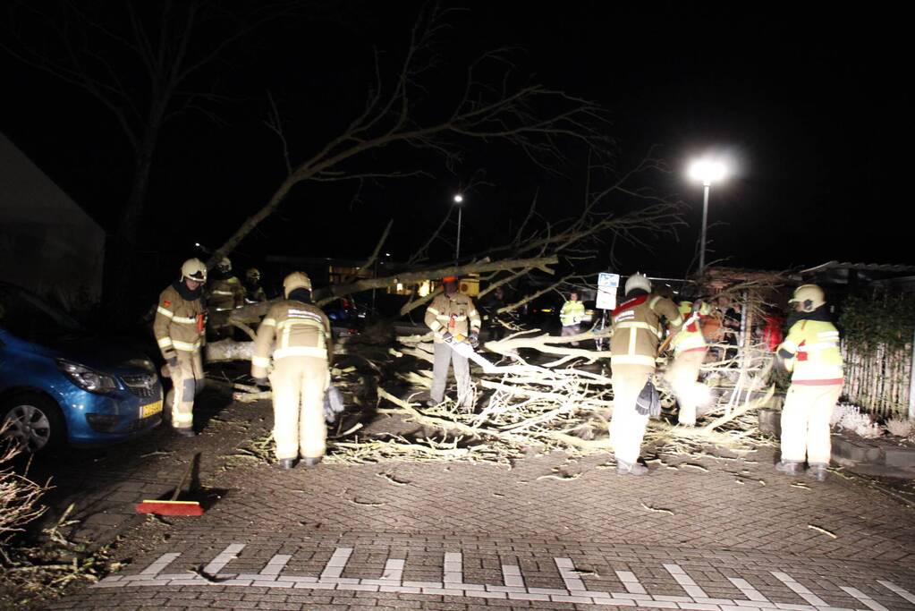 Omgevallen boom in stukken gezaagd door brandweer