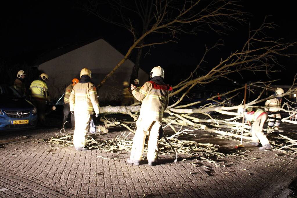 Omgevallen boom in stukken gezaagd door brandweer