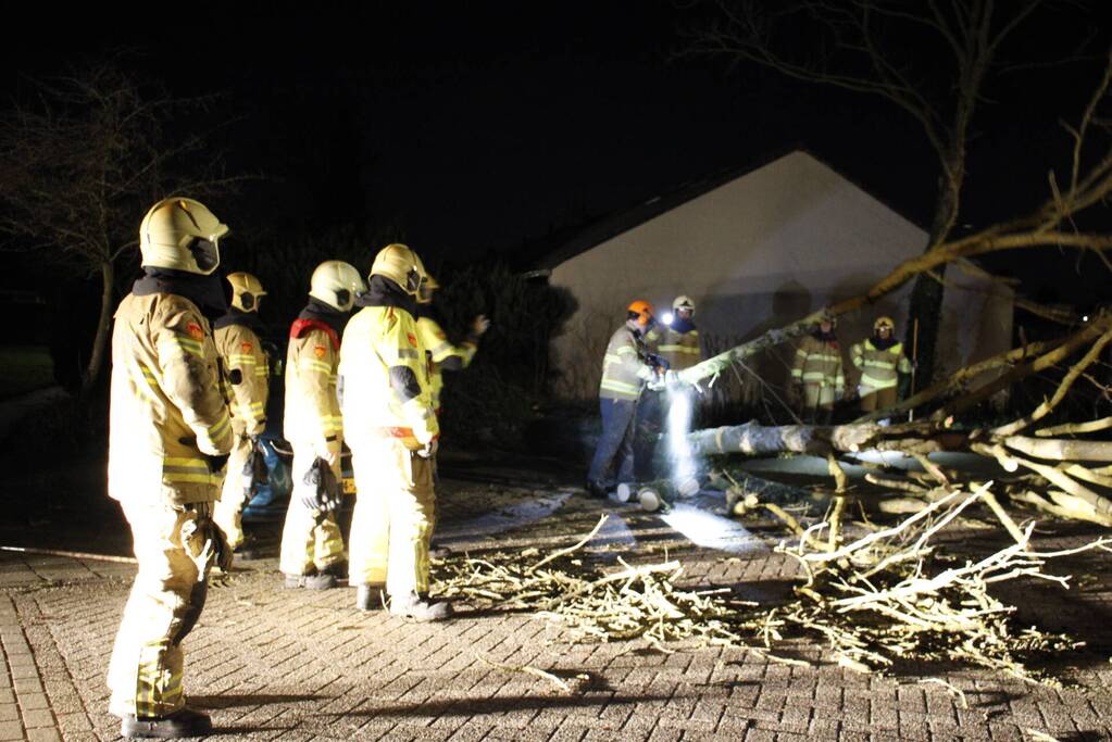 Omgevallen boom in stukken gezaagd door brandweer