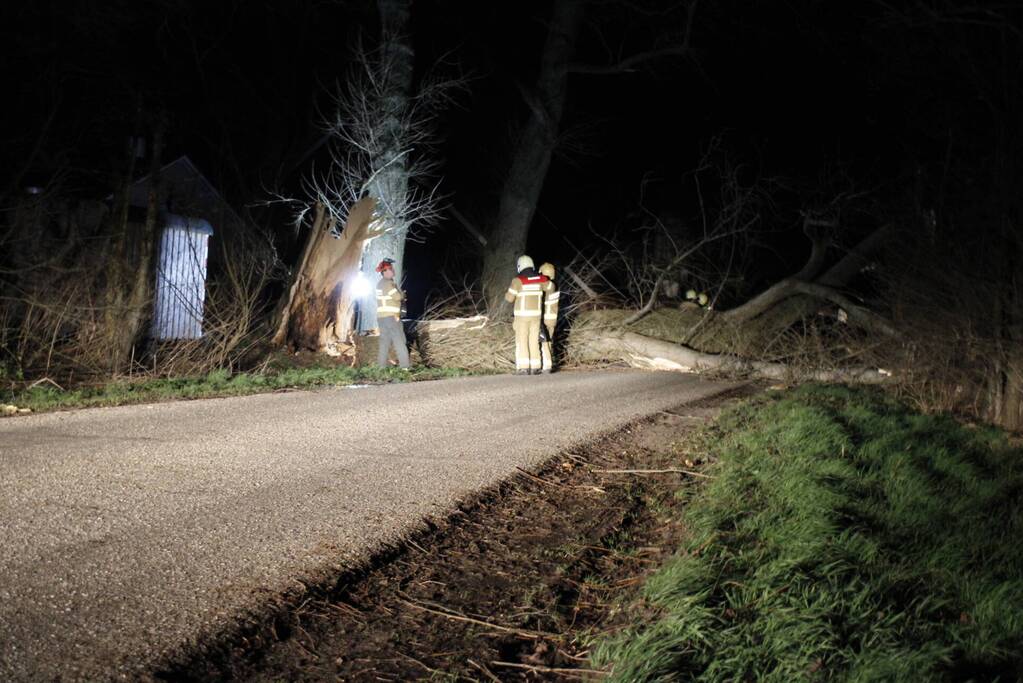 Brandweer zaagt grote boom in stukken