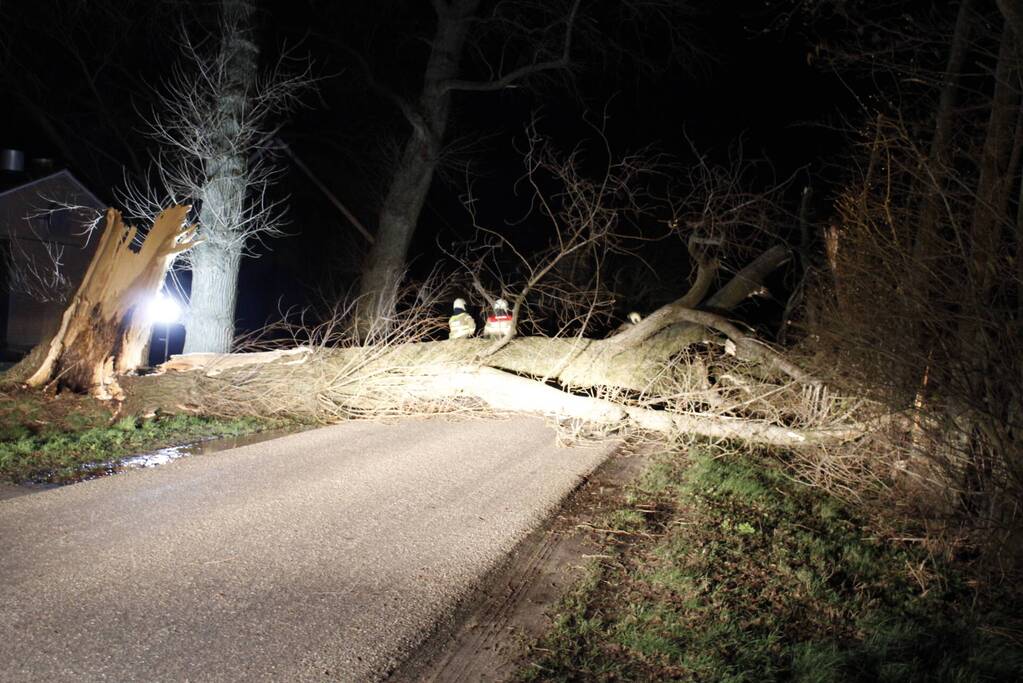 Brandweer zaagt grote boom in stukken