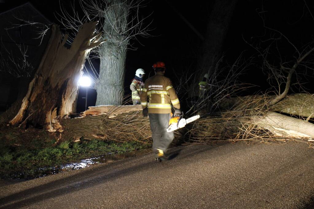 Brandweer zaagt grote boom in stukken
