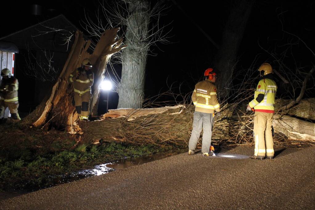 Brandweer zaagt grote boom in stukken