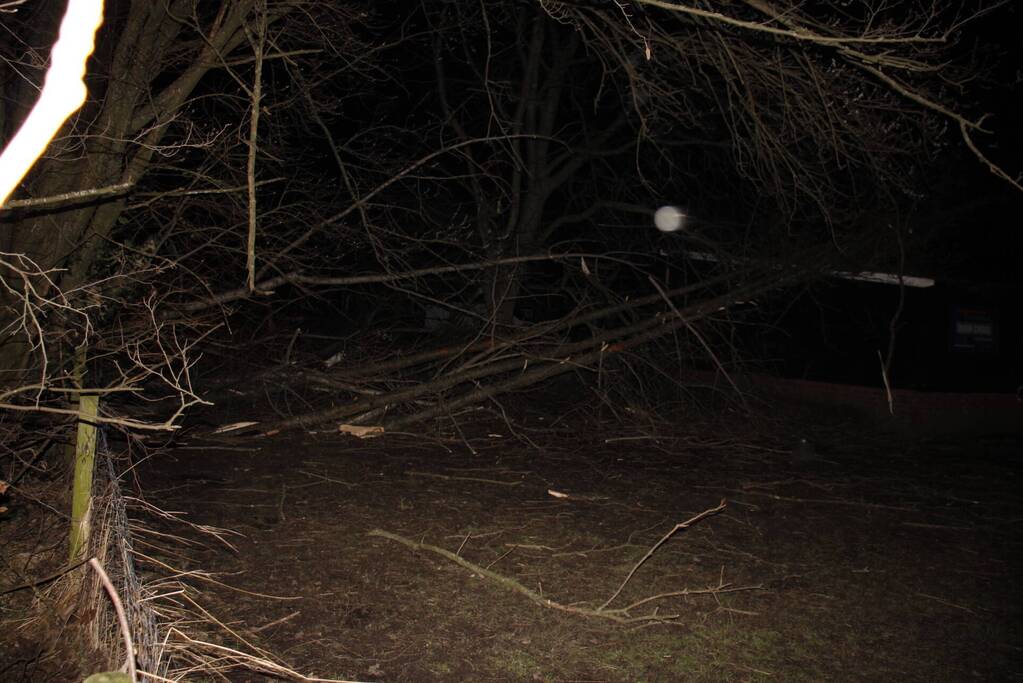 Brandweer zaagt grote boom in stukken