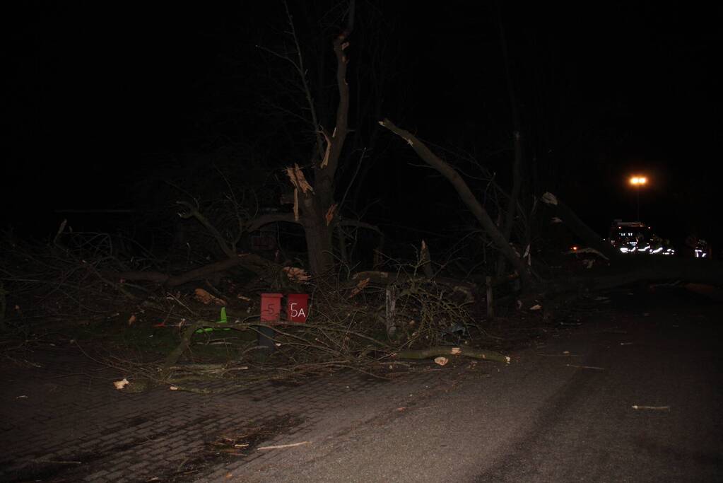 Brandweer zaagt grote boom in stukken