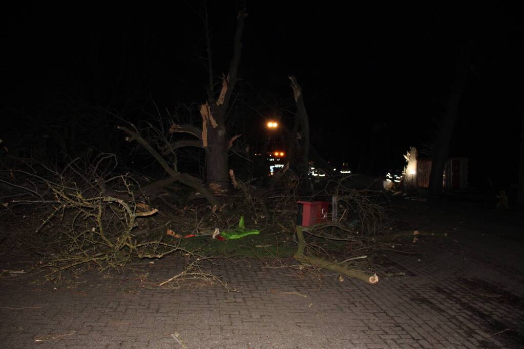 Brandweer zaagt grote boom in stukken