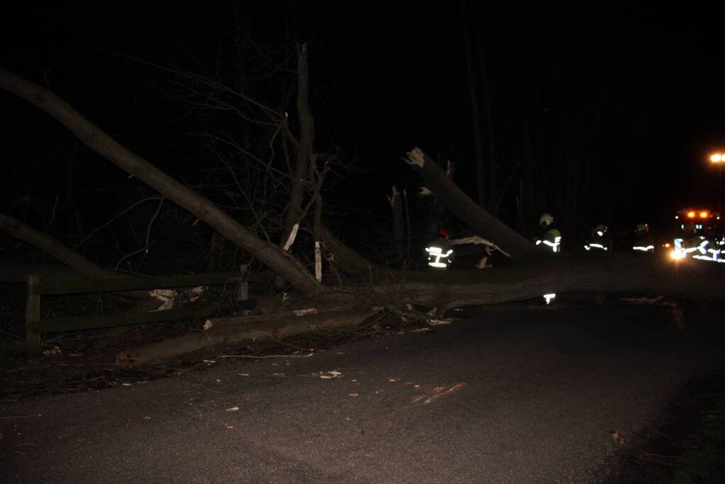 Brandweer zaagt grote boom in stukken