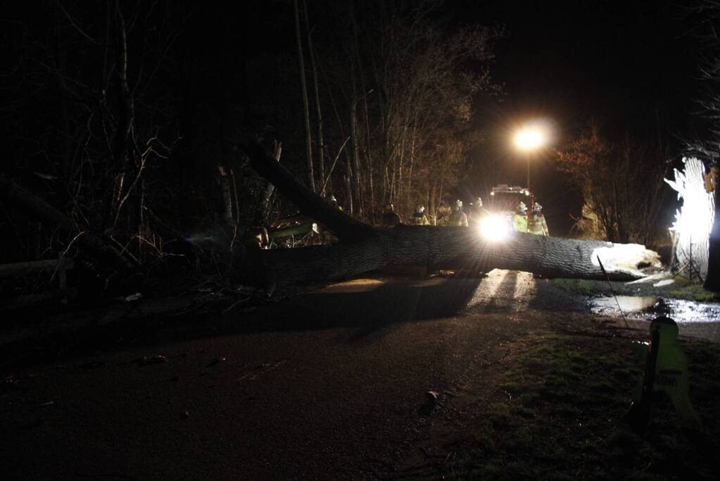 Brandweer zaagt grote boom in stukken